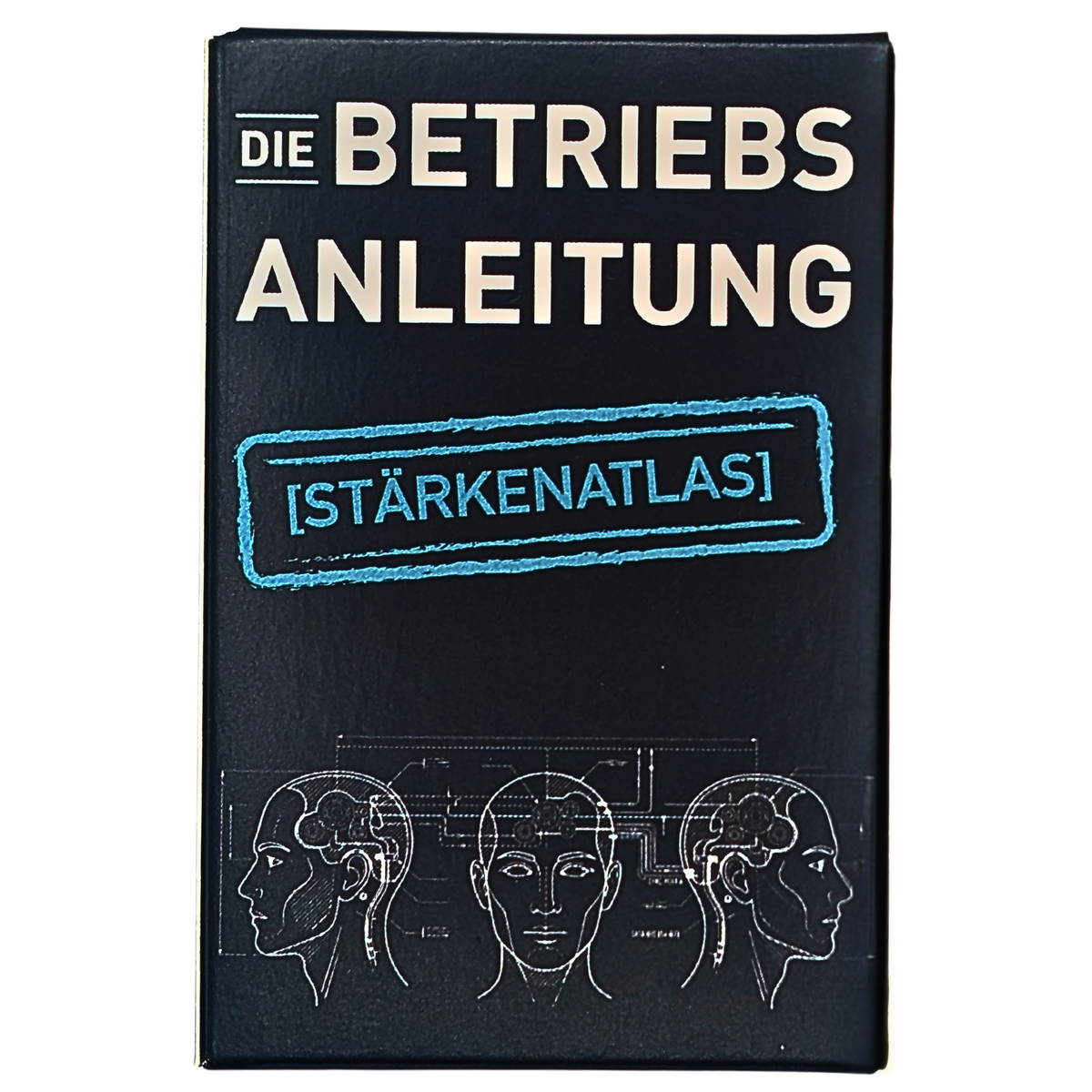 Stärkenatlas – Stärken-Kartenspiel | Die Betriebsanleitung